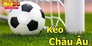 Dữ liệu thống kê hỗ trợ ra quyết định hiệu quả